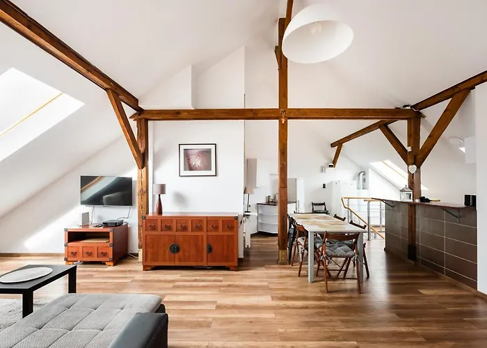 Plac Narutowicza Two-Level Apartment